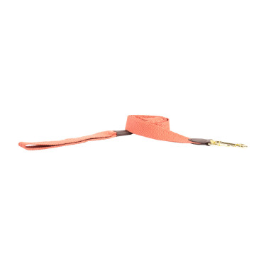 Guinzaglio per cane Jacquard Kentucky Terracotta Arancione