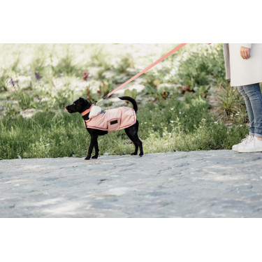 Guinzaglio per cane Jacquard Kentucky Terracotta Arancione Guinzaglio per cane Jacquard Kentucky Terracotta Arancione