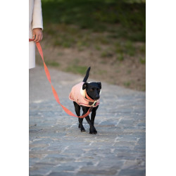 Guinzaglio per cane Jacquard Kentucky Terracotta Arancione Guinzaglio per cane Jacquard Kentucky Terracotta Arancione