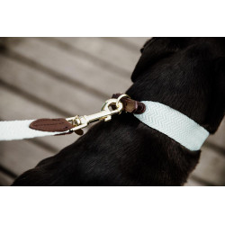 Guinzaglio per cane Jacquard Kentucky Azzurro chiaro Blu