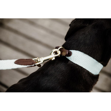 Guinzaglio per cane Jacquard Kentucky Azzurro chiaro Blu