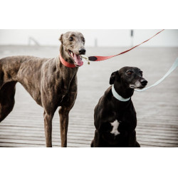 Guinzaglio per cane Jacquard Kentucky Azzurro chiaro Blu