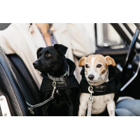 Laisse pour chien Pie-de-poule Kentucky Beige