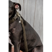 Guinzaglio per cane Teddy Fleece 120 cm Kentucky Verde abete