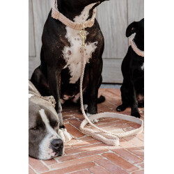 Guinzaglio per cane Teddy Fleece 120 cm Kentucky Guinzaglio per cane Teddy Fleece 120 cm Kentucky