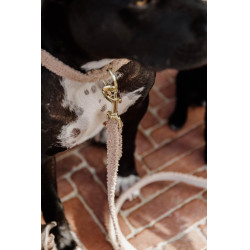 Guinzaglio per cane Teddy Fleece 120 cm Kentucky Guinzaglio per cane Teddy Fleece 120 cm Kentucky