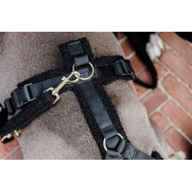 Guinzaglio per cane Teddy Fleece 120 cm Kentucky Nero