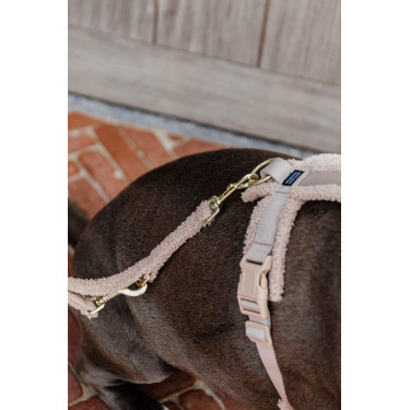 Laisse pour chien Teddy Fleece 200 cm Kentucky Beige