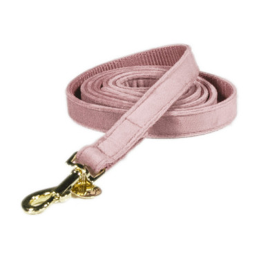 Guinzaglio per cane Velvet 120 cm Kentucky Rosa antico