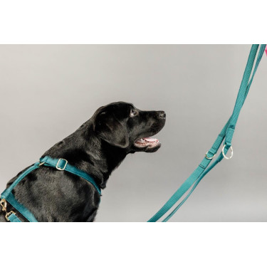 Guinzaglio per cane Velvet 200 cm Kentucky Smeraldo Verde