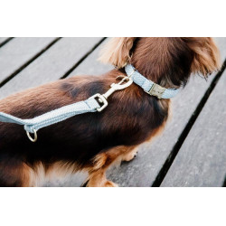 Guinzaglio per cane Wool Corto Kentucky