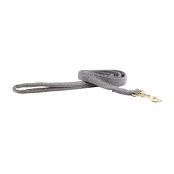 Guinzaglio per cane Wool Corto Kentucky Grigio