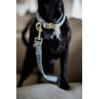 Guinzaglio per cane Wool Longue Kentucky Azzurro chiaro Blu Guinzaglio per cane Wool Longue Kentucky Azzurro chiaro Blu