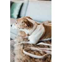 Guinzaglio per cane Wool Longue Kentucky Azzurro chiaro Blu