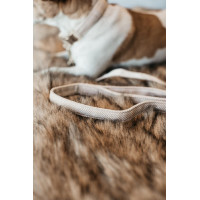 Guinzaglio per cane Wool Longue Kentucky Azzurro chiaro Blu