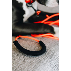 Lascia Gomma Morbida Kentucky Arancione neon