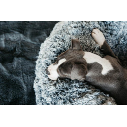 Letto per cane comfort Donut Kentucky Letto per cane comfort Donut Kentucky