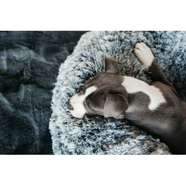 Letto per cane comfort Donut Kentucky Letto per cane comfort Donut Kentucky