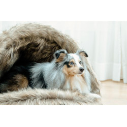 Letto per cane Igloo Kentucky Marrone
