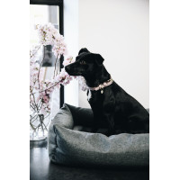 Letto per cane Soft Sleep Kentucky Grigio Letto per cane Soft Sleep Kentucky Grigio