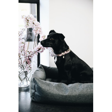 Letto per cane Soft Sleep Kentucky Grigio