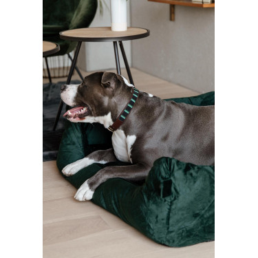 Letto per cane Velvet Kentucky Verde abete