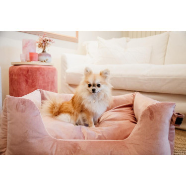 Letto per cane Velvet Kentucky Rosa antico Letto per cane Velvet Kentucky Rosa antico