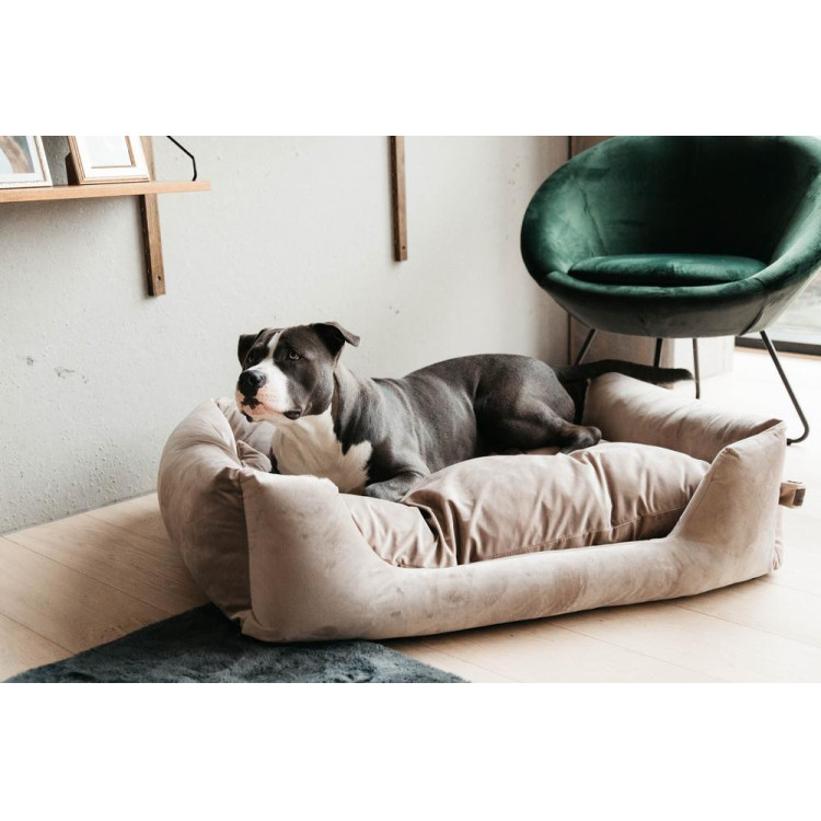 Letto per cane Velvet Kentucky