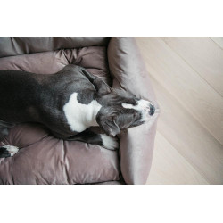 Lit pour chien Velvet Kentucky Beige Lit pour chien Velvet Kentucky Beige