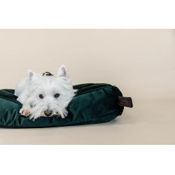 Cuscino per cane Velvet Kentucky Verde abete