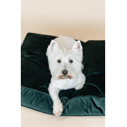 Cuscino per cane Velvet Kentucky Verde abete
