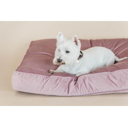 Cuscino per cane Velvet Kentucky
