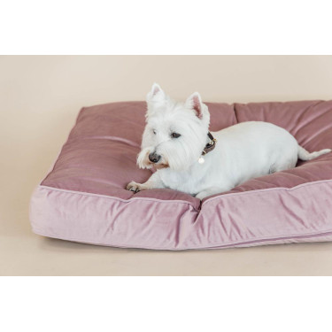 Cuscino per cane Velvet Kentucky