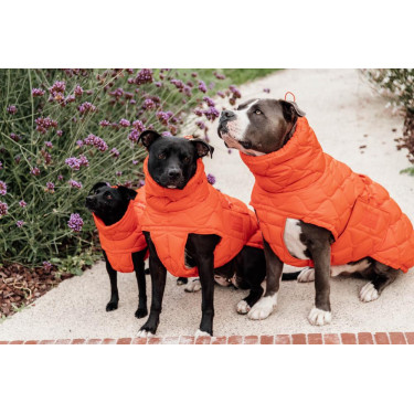 Cappotto invernale per cani Pina Kentucky