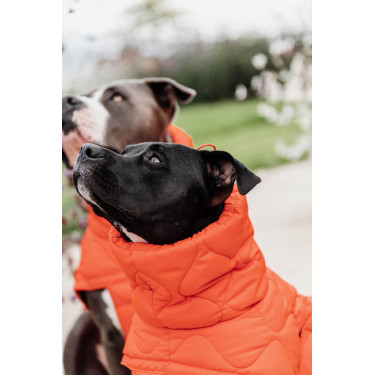 Cappotto invernale per cani Pina Kentucky Cappotto invernale per cani Pina Kentucky