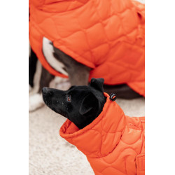 Cappotto invernale per cani Pina Kentucky Arancione
