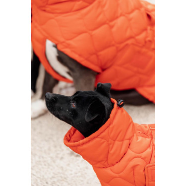 Cappotto invernale per cani Pina Kentucky Cappotto invernale per cani Pina Kentucky