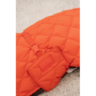 Cappotto invernale per cani Pina Kentucky Cappotto invernale per cani Pina Kentucky