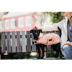 Cappotto impermeabile per cane 160g Kentucky