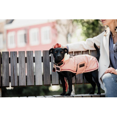 Cappotto impermeabile per cane 160g Kentucky