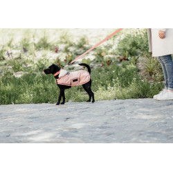 Cappotto impermeabile per cane 160g Kentucky Cappotto impermeabile per cane 160g Kentucky