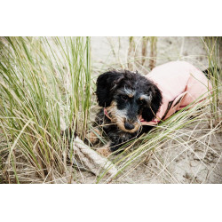 Cappotto impermeabile per cane 160g Kentucky Cappotto impermeabile per cane 160g Kentucky