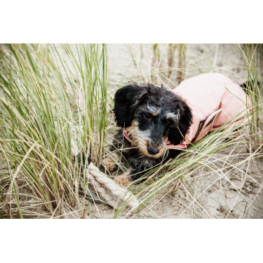 Cappotto impermeabile per cane 160g Kentucky Cappotto impermeabile per cane 160g Kentucky