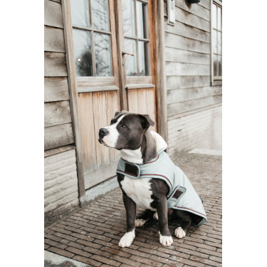Cappotto impermeabile per cane 160g Kentucky Blu polveroso