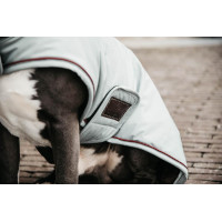 Cappotto impermeabile per cane 160g Kentucky Corallo Rosso