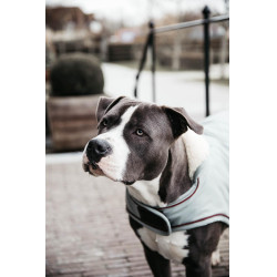 Cappotto impermeabile per cane 160g Kentucky Blu polveroso