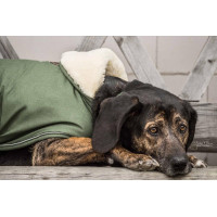 Cappotto impermeabile per cane 300g Kentucky Verde oliva Cappotto impermeabile per cane 300g Kentucky Verde oliva