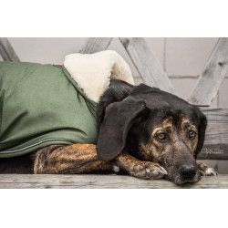 Cappotto impermeabile per cane 300g Kentucky