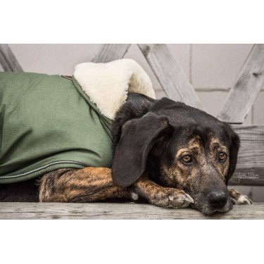 Cappotto impermeabile per cane 300g Kentucky