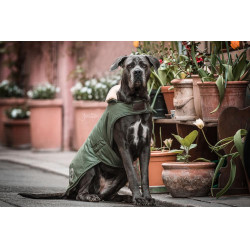 Cappotto impermeabile per cane 300g Kentucky Verde oliva Cappotto impermeabile per cane 300g Kentucky Verde oliva